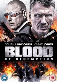 韓劇DVD專賣店 正品復仇死循環 Blood of Redemptiondvd