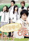 韓劇DVD專賣店 正品我要變成硬柿子dvd