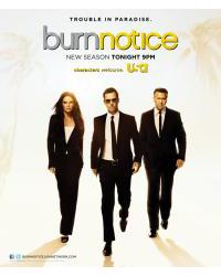 火線警告/黑名單/無主間諜第六季 Burn Notice