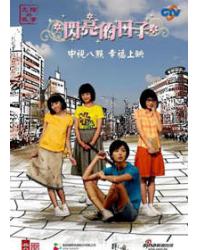 韓劇DVD專賣店 正品閃亮的日子1-4部dvd
