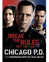 芝加哥警署/風城悍警第二季 Chicago PD