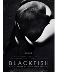 黑鯨/黑鯨魚 Blackfish