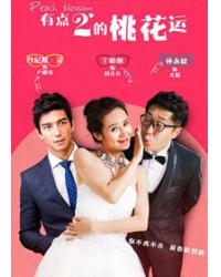 韓劇DVD專賣店 正品桃花運dvd