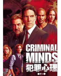 韓劇DVD專賣店 正品犯罪心理/犯罪拼圖/犯罪解碼第十一季 Criminal Mindsdvd