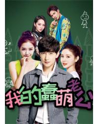 韓劇DVD專賣店 正品我的蠢萌老公/e時代天使/美麗e時代dvd