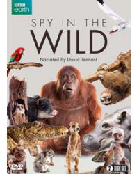 BBC:荒野間諜第一季 Spy in the Wild