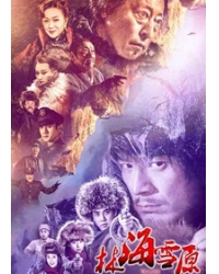 韓劇DVD專賣店 正品林海雪原dvd