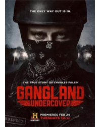 黑幫卧底/黑幫臥底第一季 Gangland Undercover