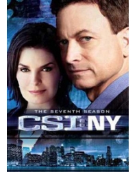 CSI犯罪現場：紐約/鑒證紐約第七季 CSI：NY