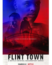 弗林特警局 Flint Town